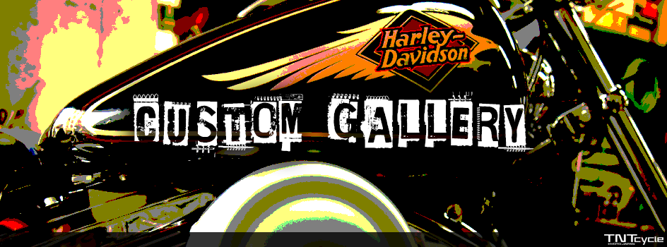 カスタムギャラリー